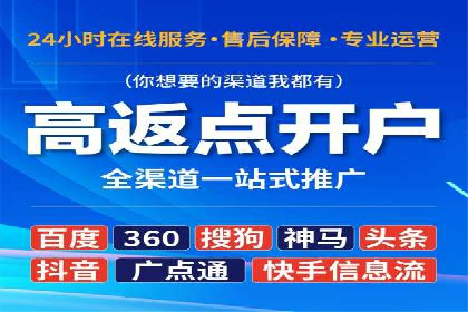成功企业SEM竞价代运营案例研究